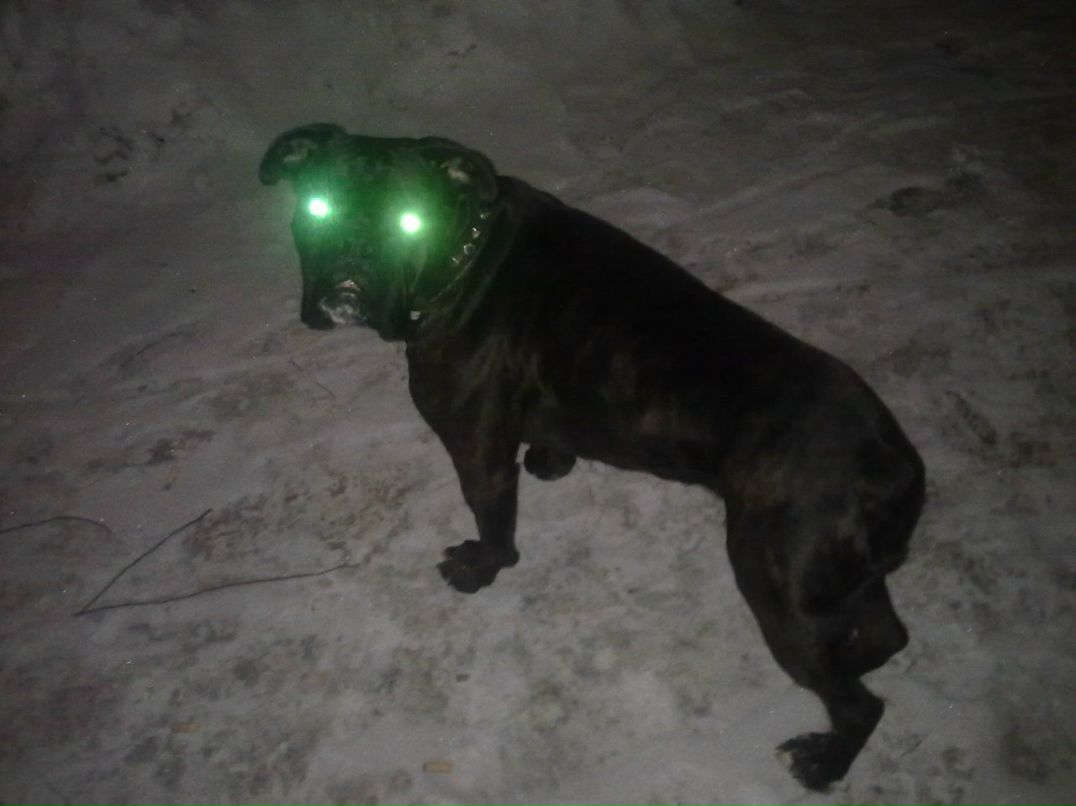 Денис Фролов | Тольятти