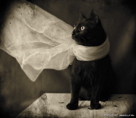 №20, Евгений Чудаев, 40 лет, Санкт-Петербург №20, Евгений Чудаев, 40 лет, Санкт-Петербург