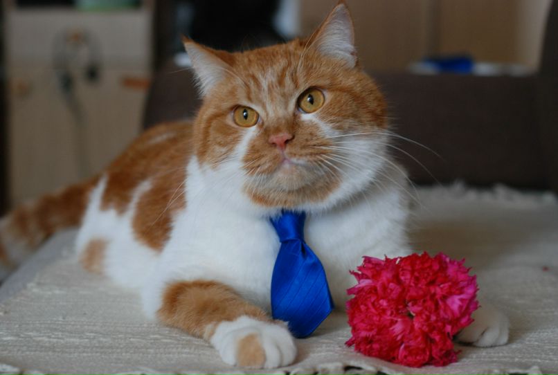 Сергей Кириченко | Горишние Плавни / Комсомольск