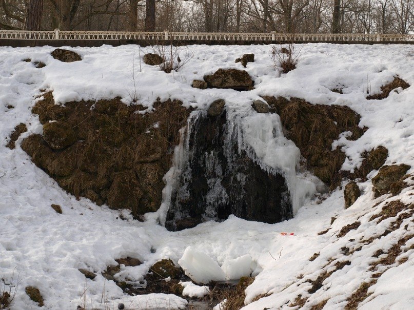 Владимир Смородов Nolan | Великий Новгород