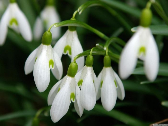 Элла Бабенко | New York City