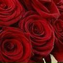 Сюзанна Манукян | Москва