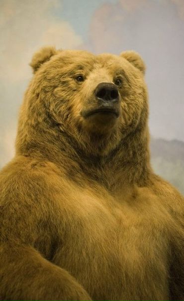 №12, Иван Наставников, Тулун №12, Иван Наставников, Тулун