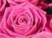 Анна Иванова | Невель