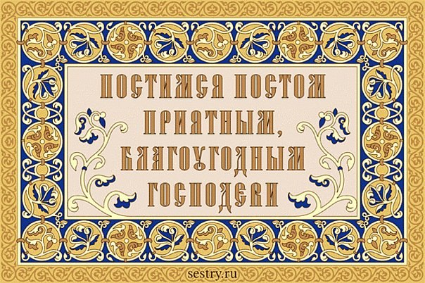 Даниэль Павлович | Санкт-Петербург