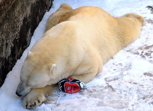 Айдар Ахмадиев | Уфа