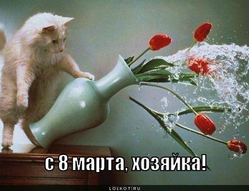 №16, Оксана Макаринцева, 34 года, Чернигов №16, Оксана Макаринцева, 34 года, Чернигов