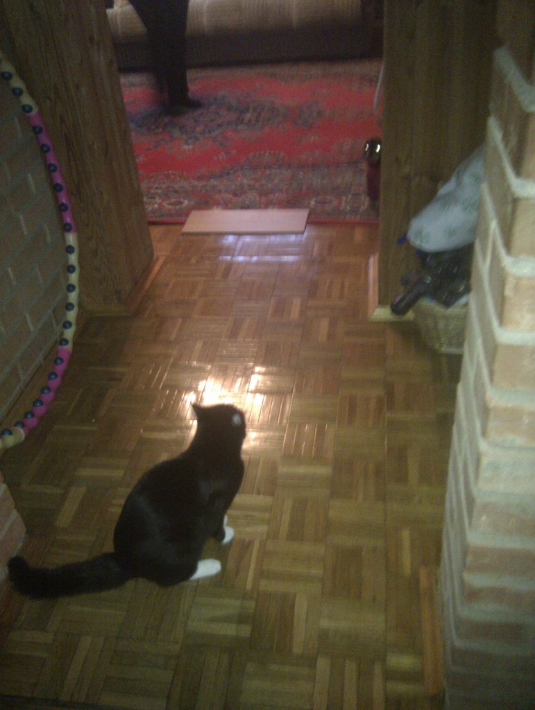 Александр Гончаров | Москва