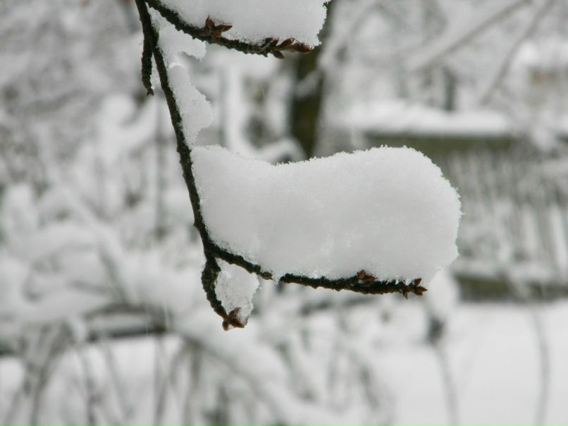 Валик Денисов | Киев
