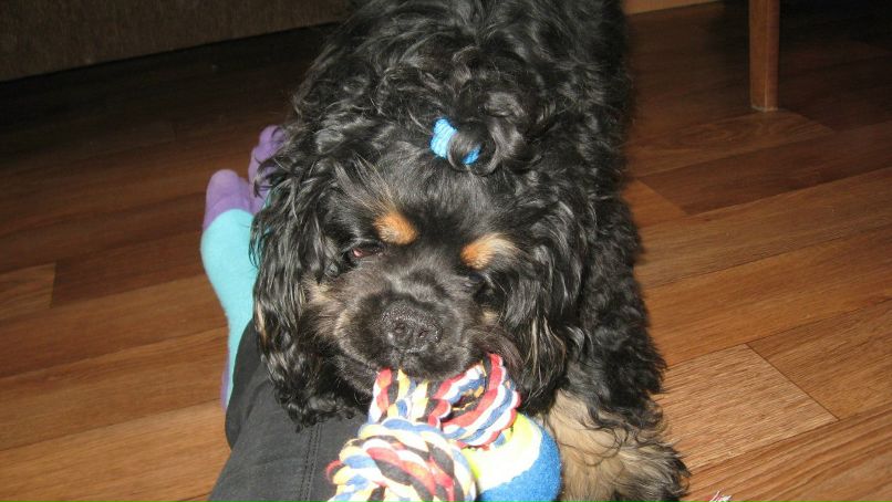 Анастасия Клименко ツ♥ツ♥ツкуклаツ♥ツ♥ツ | Краматорск