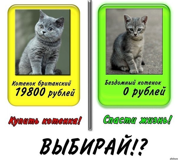 Анна Короткевич [^_^] | Бобруйск