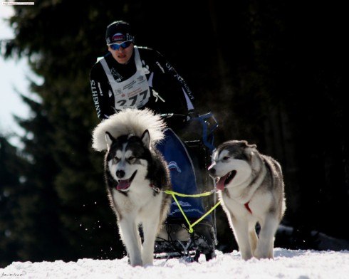 Анна Воробьёва | Санкт-Петербург