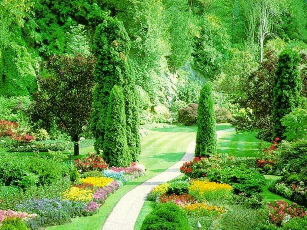 Виктор Морозкин | Самара