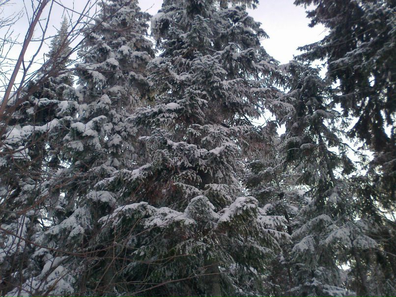 Светлана Ханипова | Шугурово