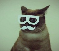 Дмитрий Ковалёв | Томск