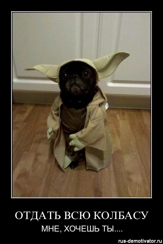 Юра Цвик tipO4ek | Киев