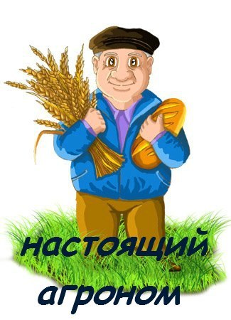 №34, Анатолий Береза, 34 года, Великая Александровка №34, Анатолий Береза, 34 года, Великая Александровка