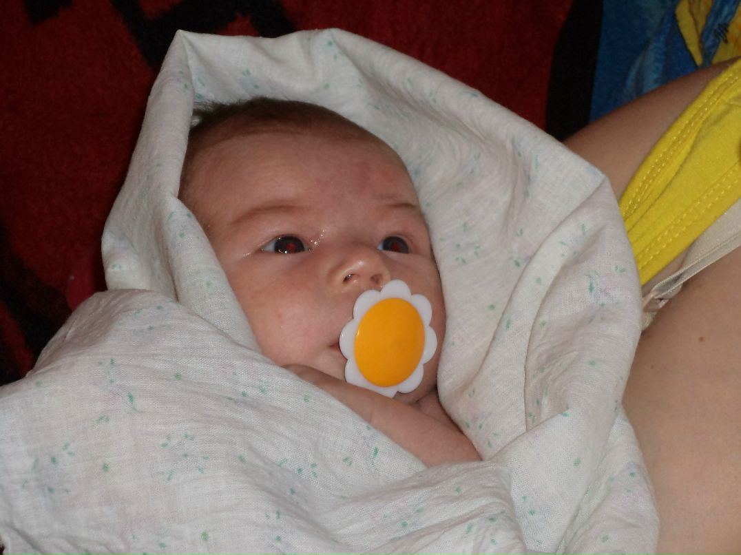 Алексей Новиков | Славута