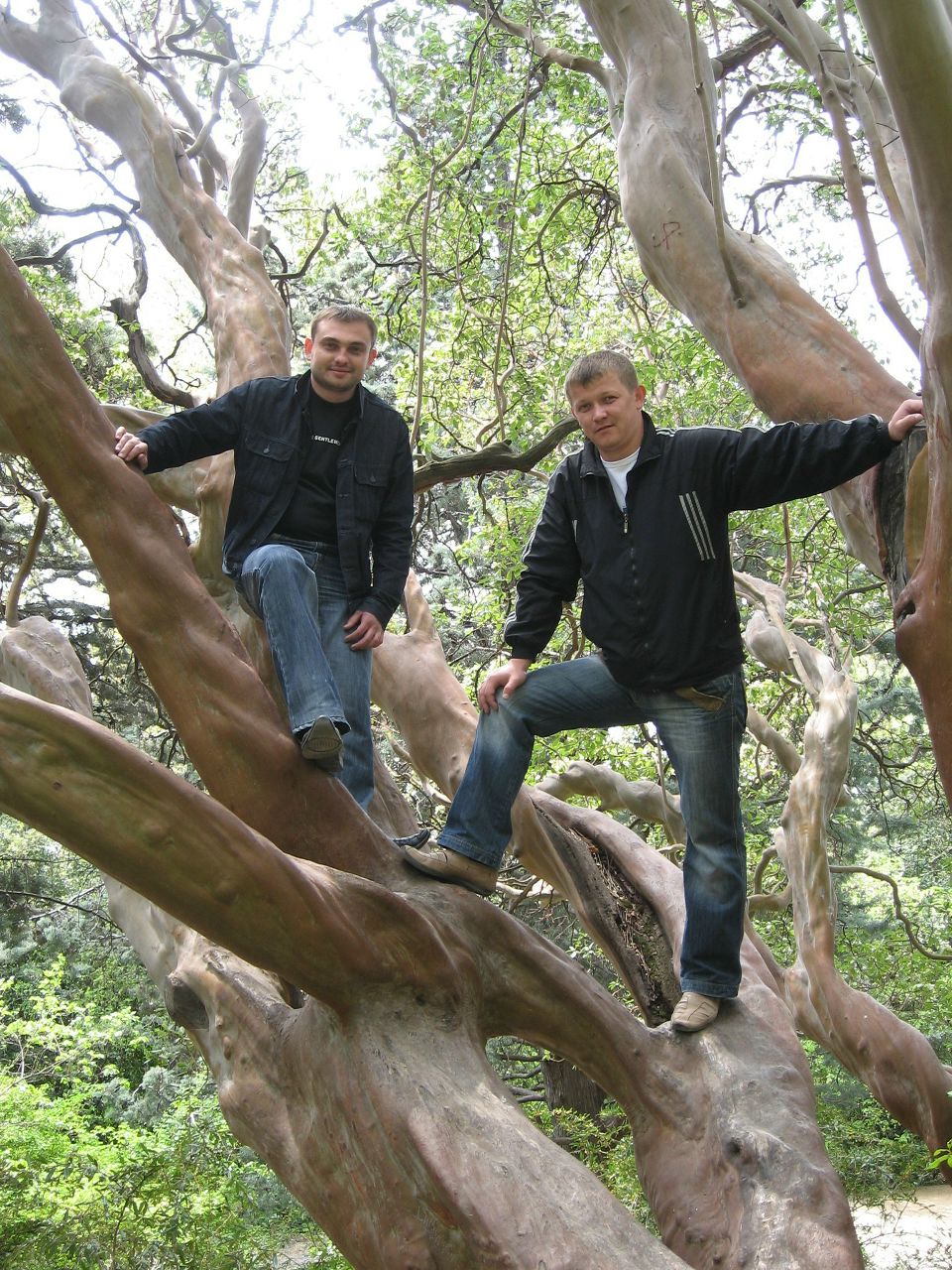 Maximus Климов | Свердловск / Должанск