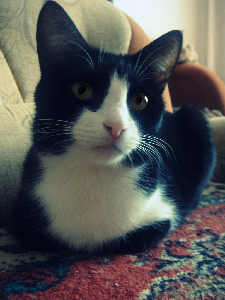 Виктория Жукова | Волжский