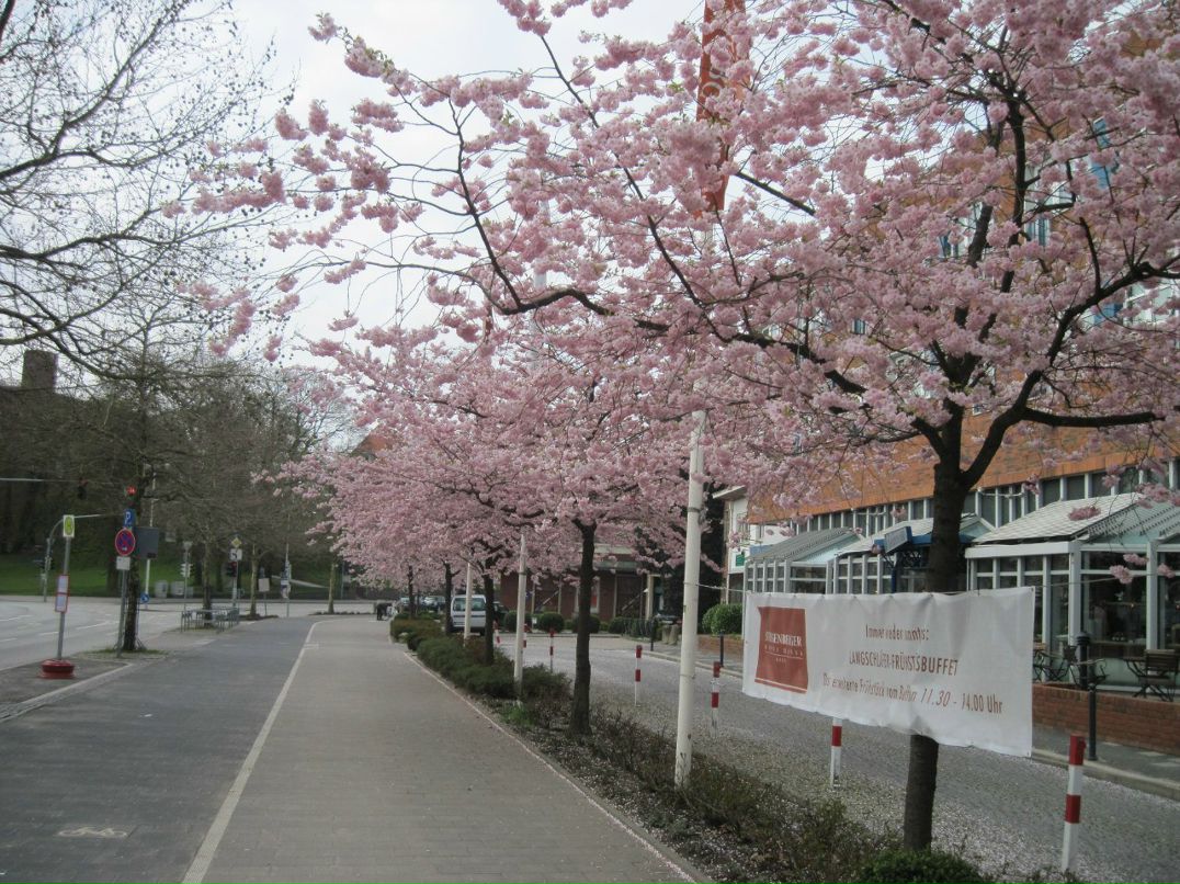 Данил Жигалин | Москва