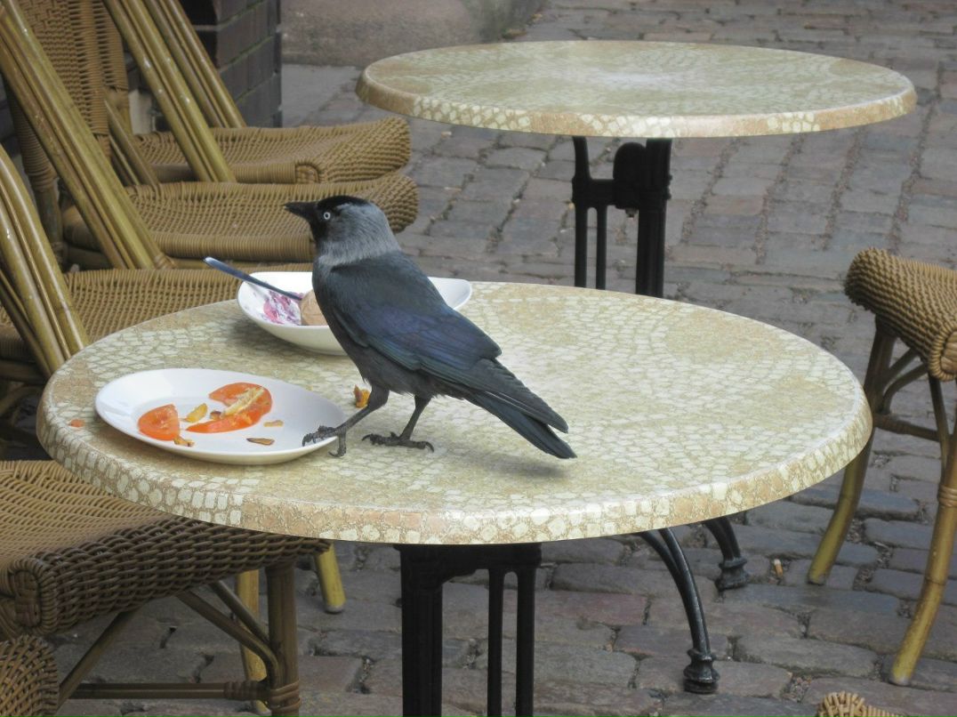 Данил Жигалин | Москва