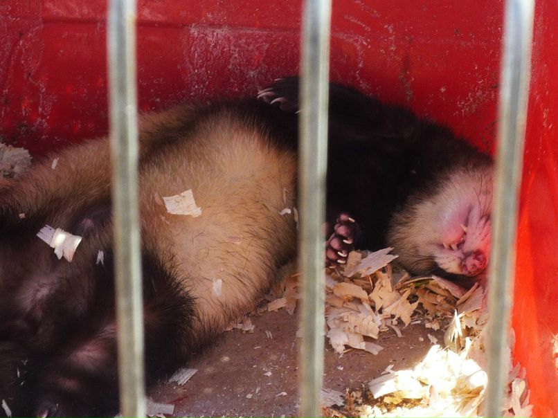 Люся Иванова | Одесса