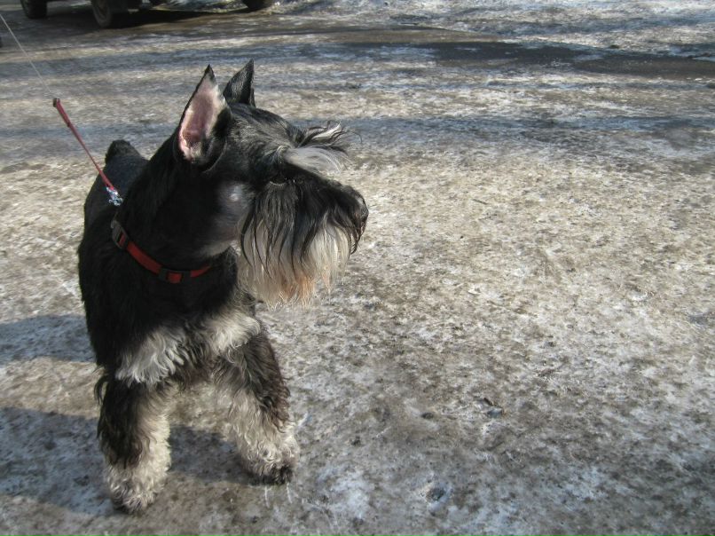 Галина Киселёва | Санкт-Петербург