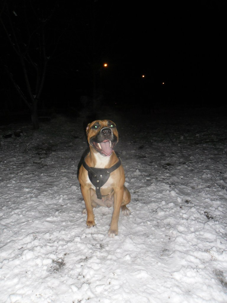 Александр Александров | Запорожье