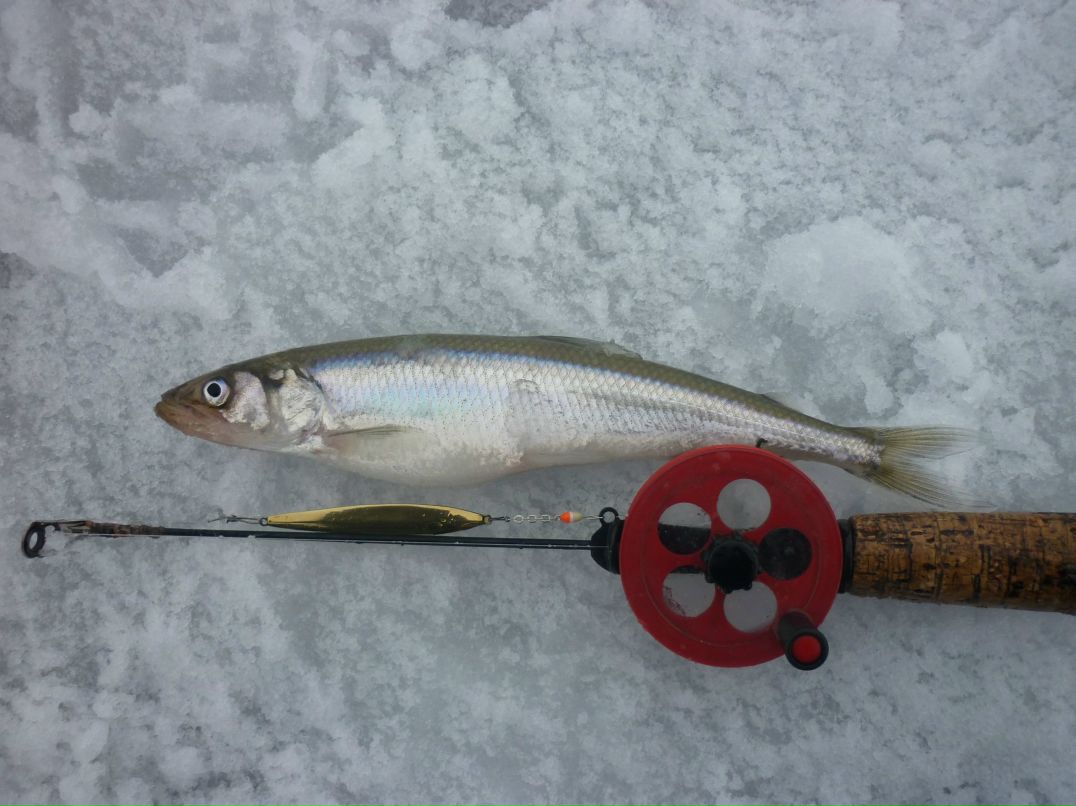 Эдик Кудинов | Санкт-Петербург