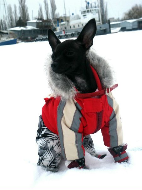 №119, Светлана Серба, Херсон №119, Светлана Серба, Херсон