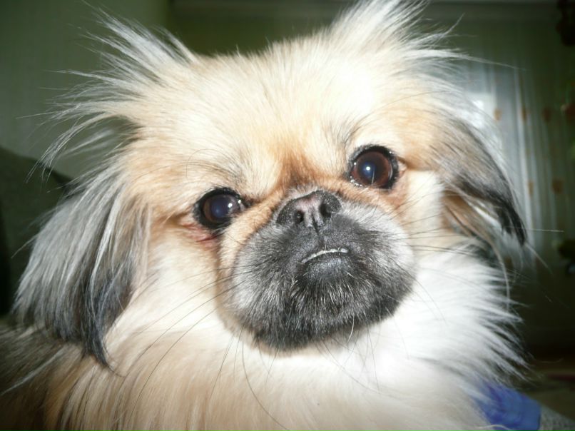 Юлия Шевчук | Краснодар