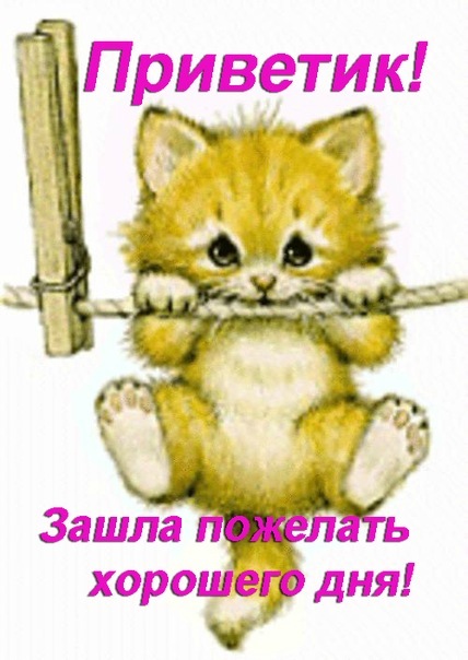 №7, Вероника Конечная, 34 года №7, Вероника Конечная, 34 года