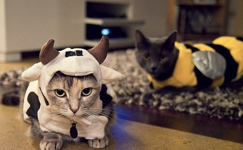 Тёма Мелдо | Петрозаводск