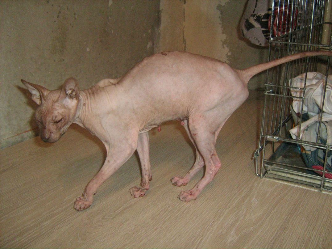 Кристина Сенчугова ♥^√V''^√\√V''^√\♥ | Владимир