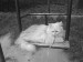 Джесіка Cat фотография #10 (источник - https://vk.com/id72402689)