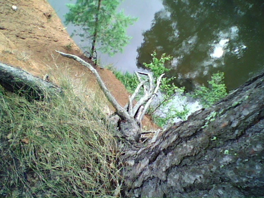 Дмитрий Кириллов Дмитриевич | Санкт-Петербург