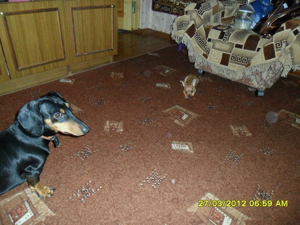 №65, Олеся Семакова, Северодвинск №65, Олеся Семакова, Северодвинск