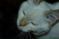 №27 Кристина Бакунова-Мустафина 26.12: профиль, фото, статус - ВКонтакте