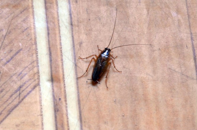 Гашан Башарин Кто не важнО оО | Москва