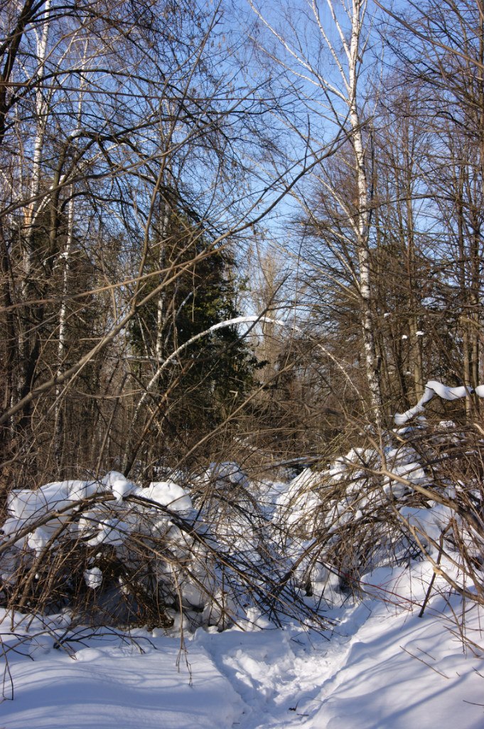 Мария Чудесникова Грейс | Москва