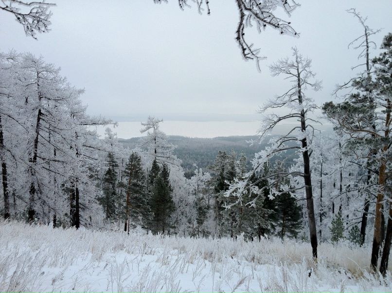 Василий Голосов | Киров