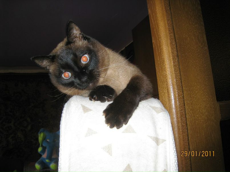 Ирин Зароченцева-Беляева | Сочи