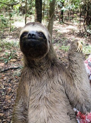 Иван Ковшар !WR! | Красноярск