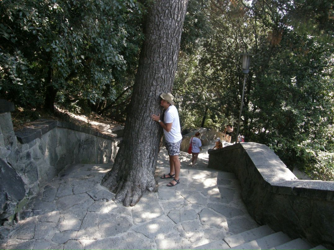 Максим Ефименко | Донецк