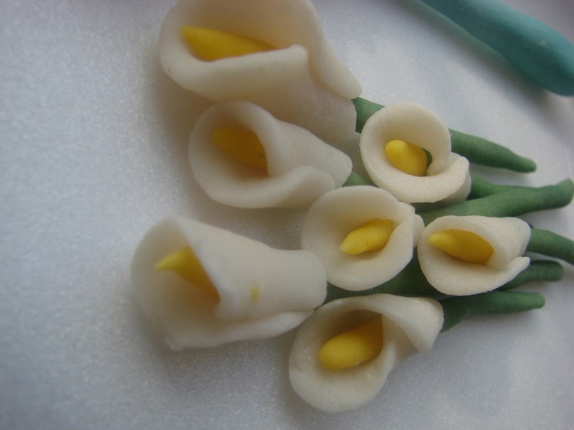 Анна Кириллова Nega | Москва