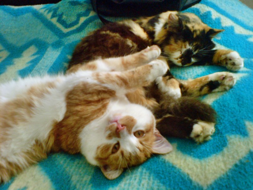 Ирина Барабаш | Тернополь