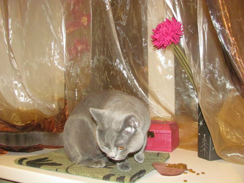 Тамара Шумило | Санкт-Петербург