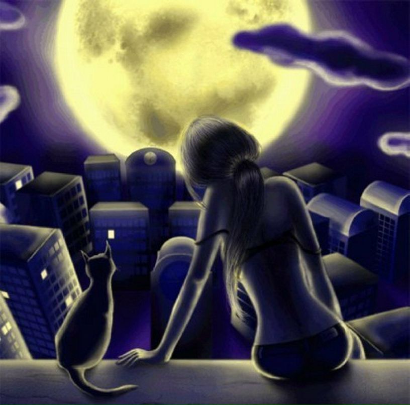 Маленький Гений | 