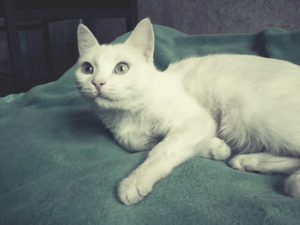 Валерия Бейзер | Санкт-Петербург